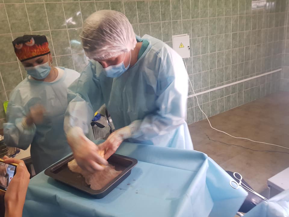 В Украине впервые трансплантировали поджелудочную железу
