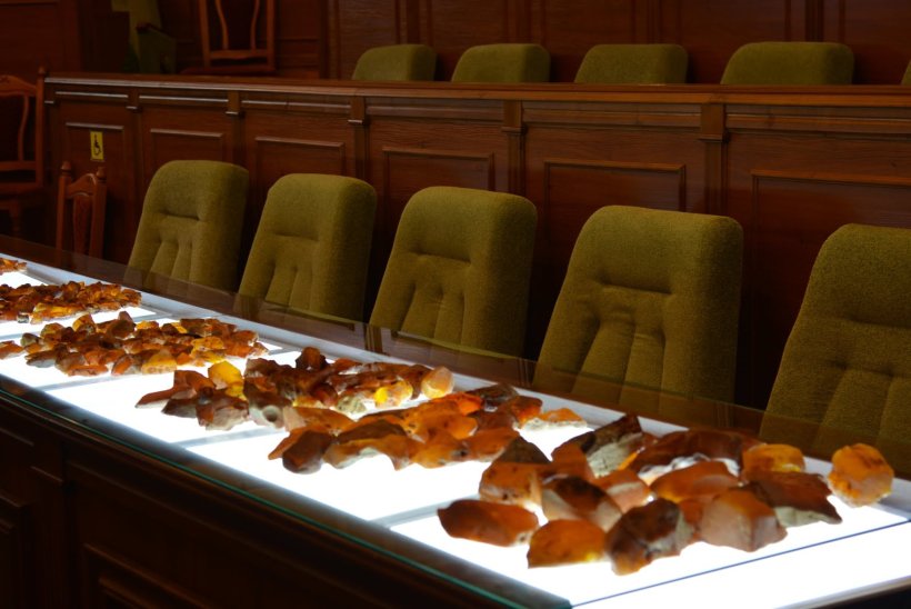 В Украине впервые прошел аукцион по продаже янтаря