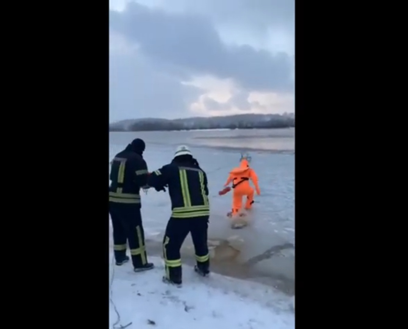 В Киеве спасли провалившегося под лед пса (ВИДЕО)