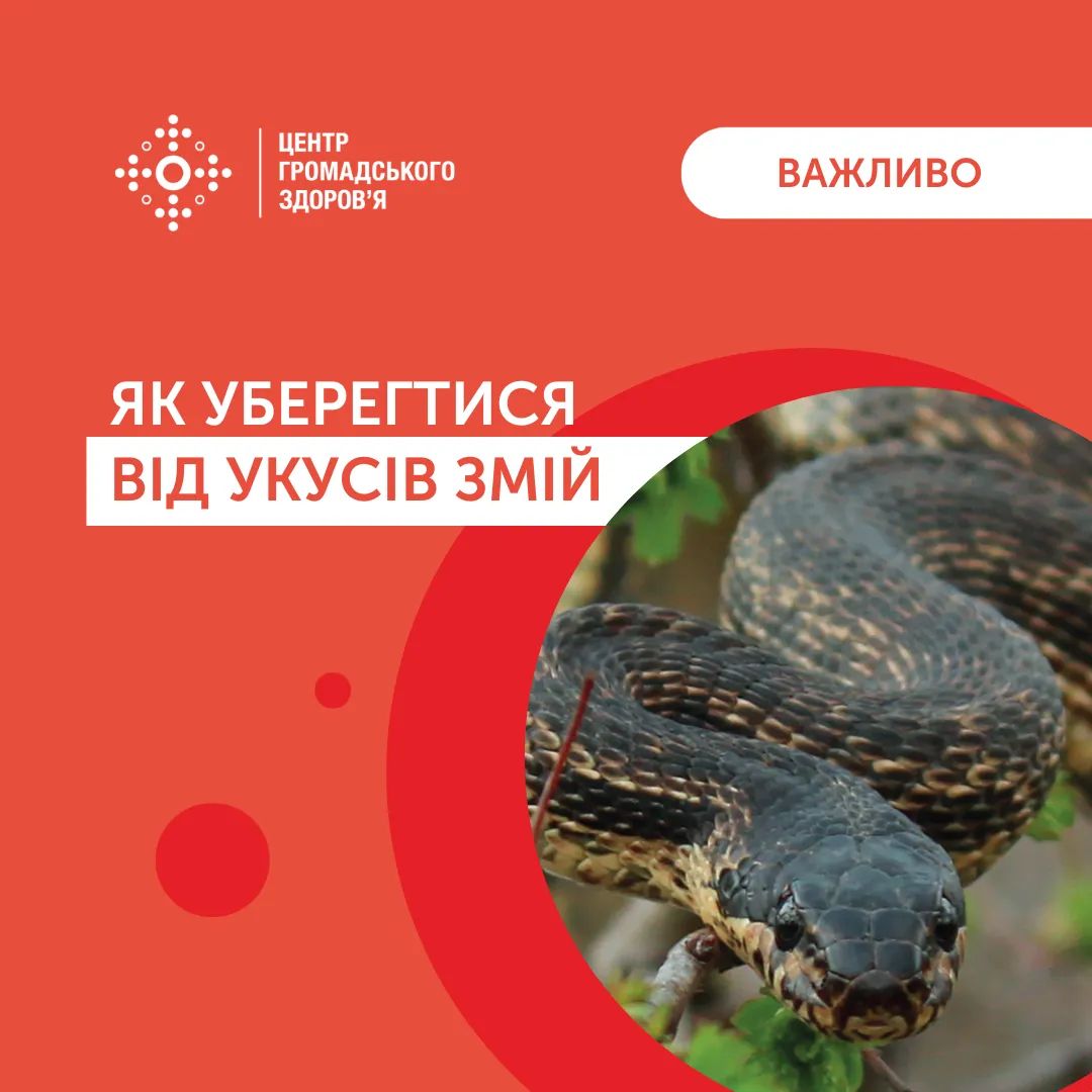 В Україні у 2022 році від укусів змій постраждало 26 людей. Як уберегтися?