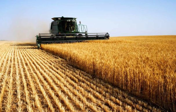 Війна може позбавити світ трьох урожаїв української пшениці – Мінагрополітики